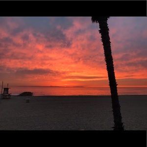 Meet your Posher, Calysa